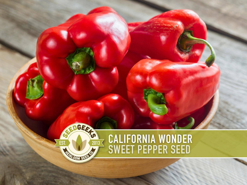 California Wonder Sweet Pepper Seeds | Heirloom