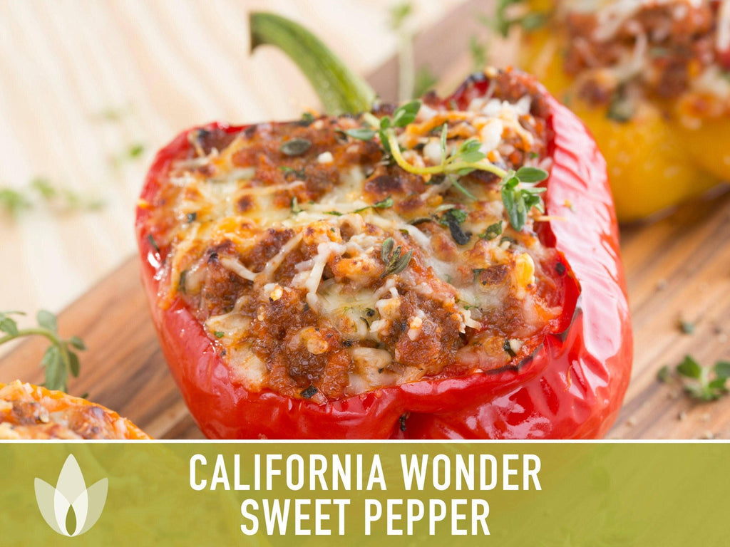 California Wonder Sweet Pepper Seeds | Heirloom