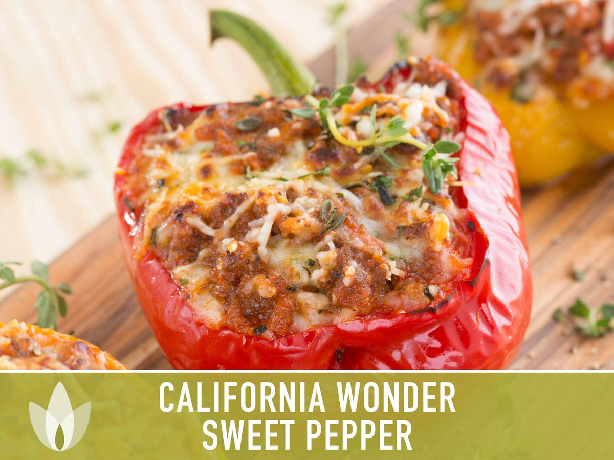 California Wonder Sweet Pepper Seeds | Heirloom