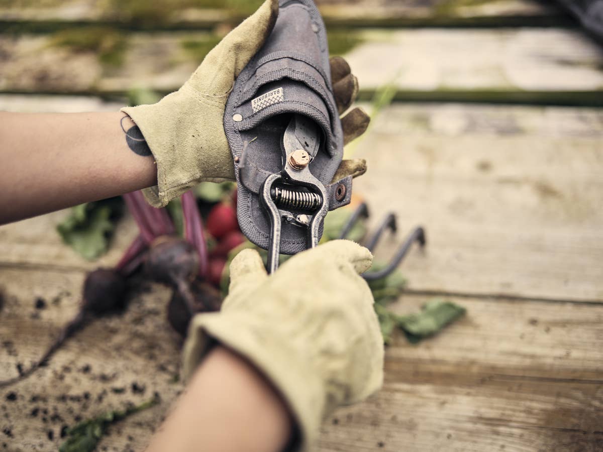 Barebones Garden Toolkit