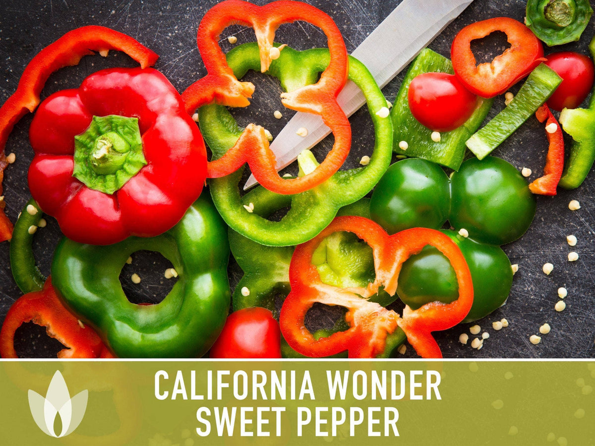 California Wonder Sweet Pepper Seeds | Heirloom