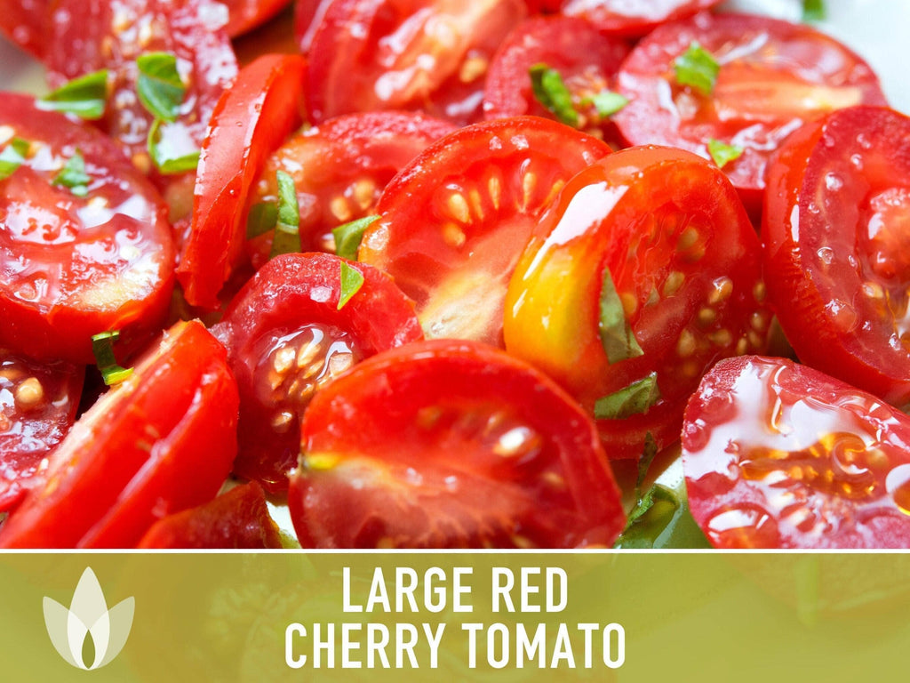 Large Red Cherry Tomato Seeds | Heirloom, Great for Salads