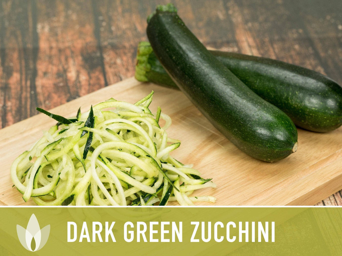 Dark Green Zucchini Seeds | Heirloom, Great for Fresh eating