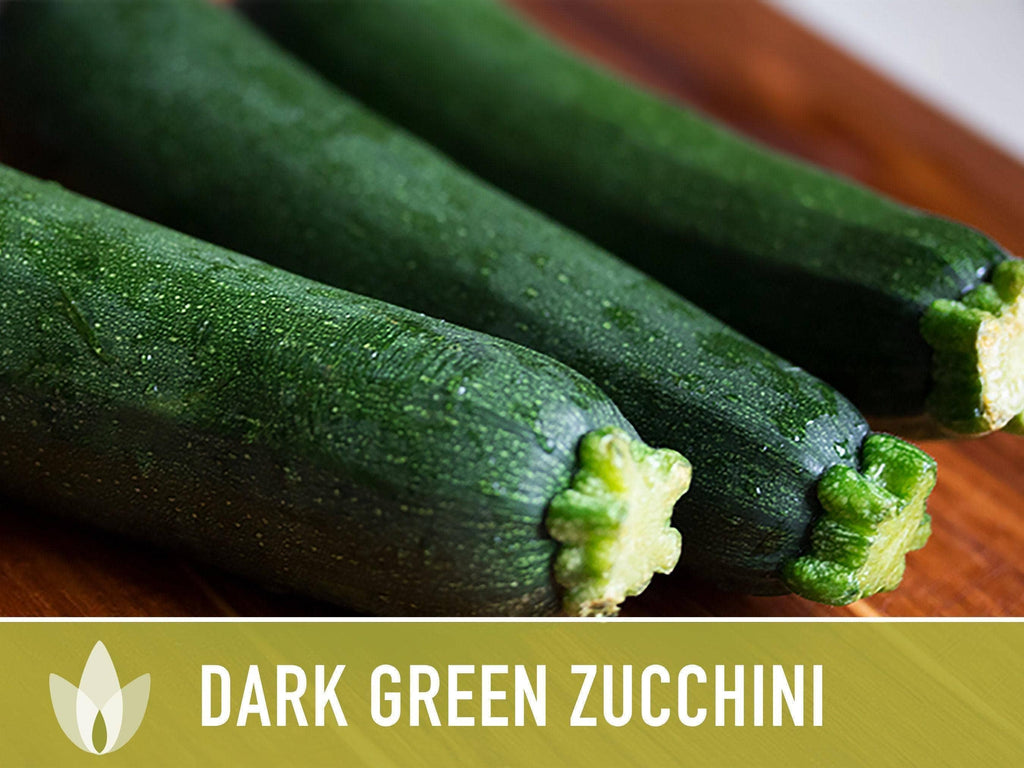 Dark Green Zucchini Seeds | Heirloom, Great for Fresh eating