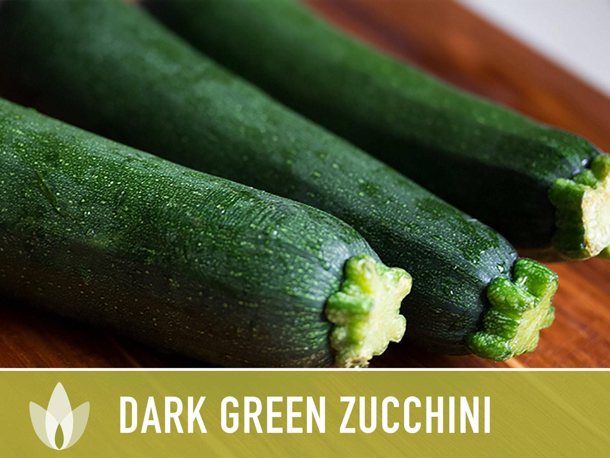 Dark Green Zucchini Seeds | Heirloom, Great for Fresh eating