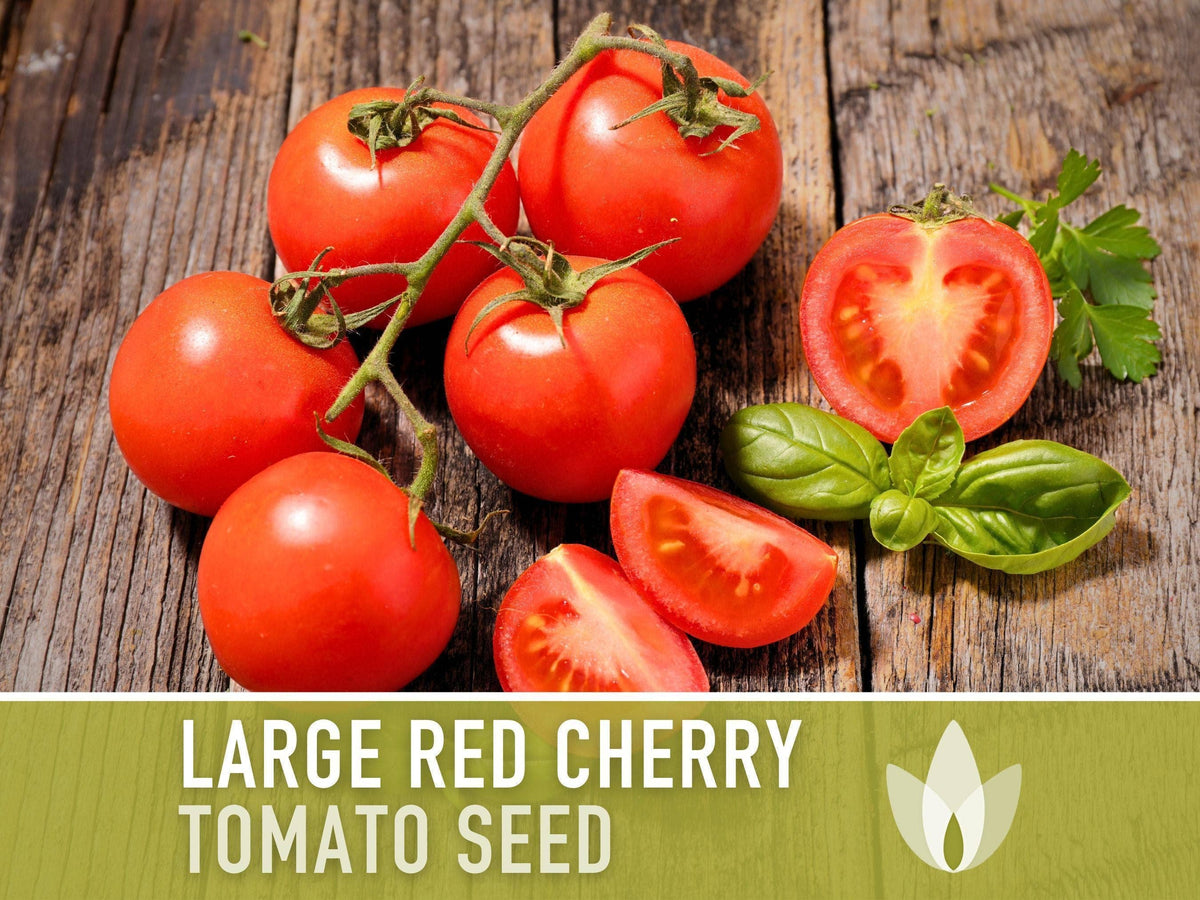 Large Red Cherry Tomato Seeds | Heirloom, Great for Salads