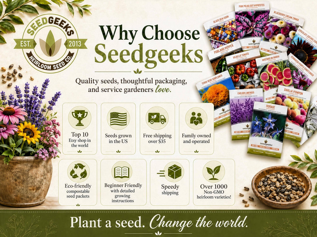 Ace 55 Tomato Seeds | Heirloom, Great for Canning or fresh