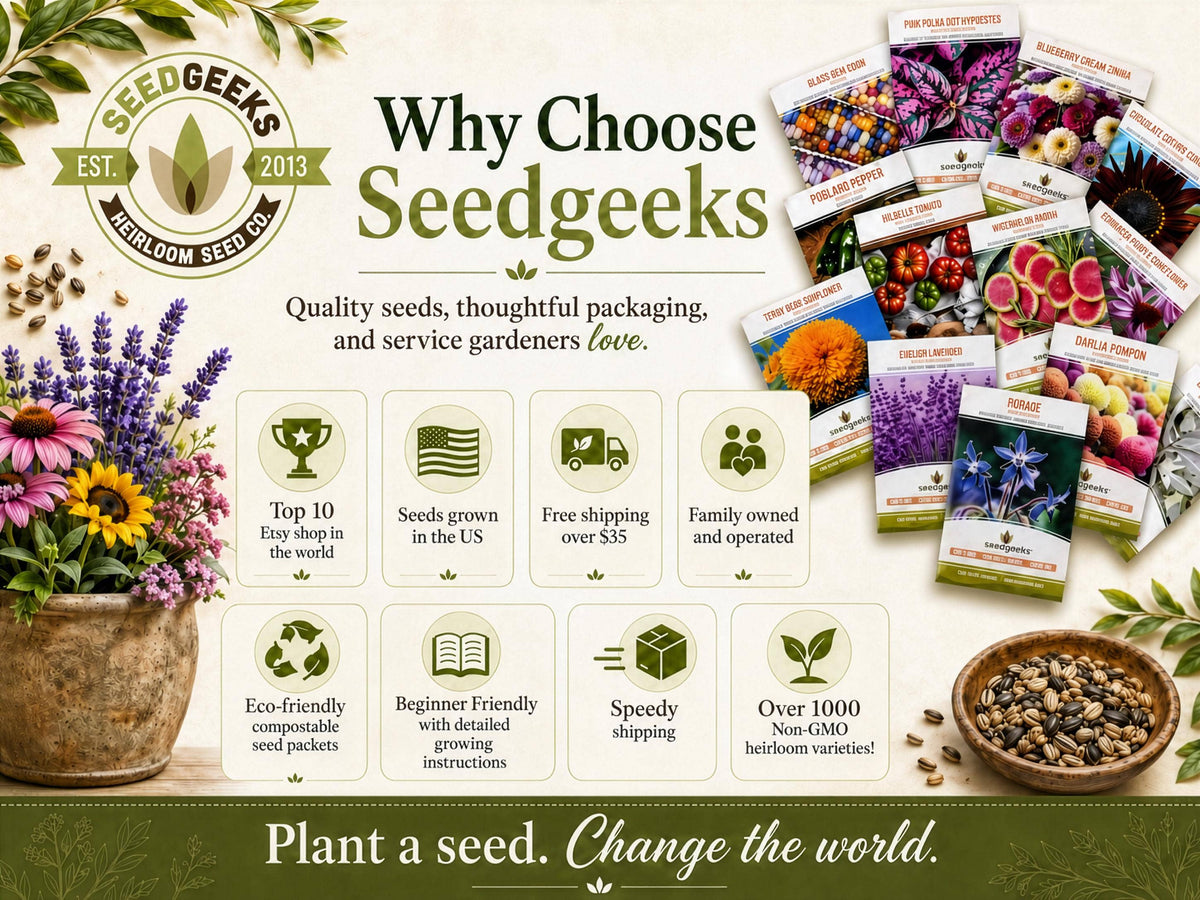 Ace 55 Tomato Seeds | Heirloom, Great for Canning or fresh