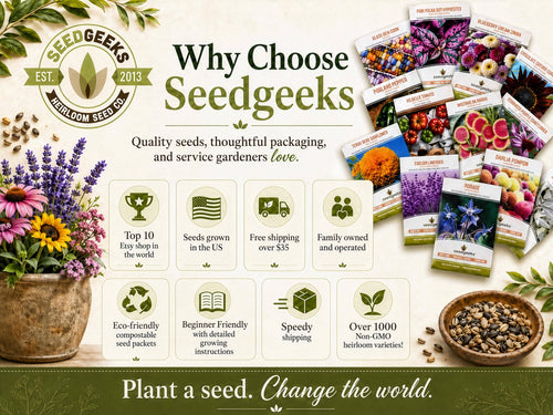 Ace 55 Tomato Seeds | Heirloom, Great for Canning or fresh