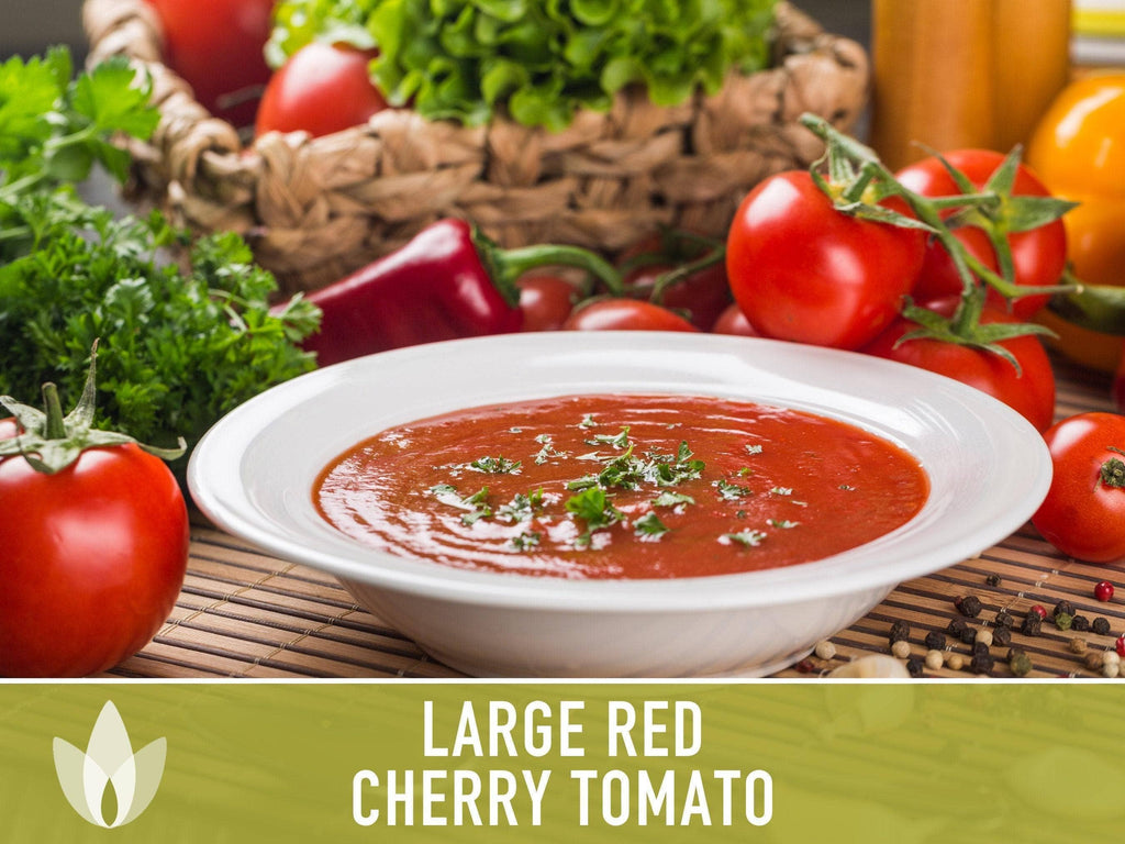 Large Red Cherry Tomato Seeds | Heirloom, Great for Salads