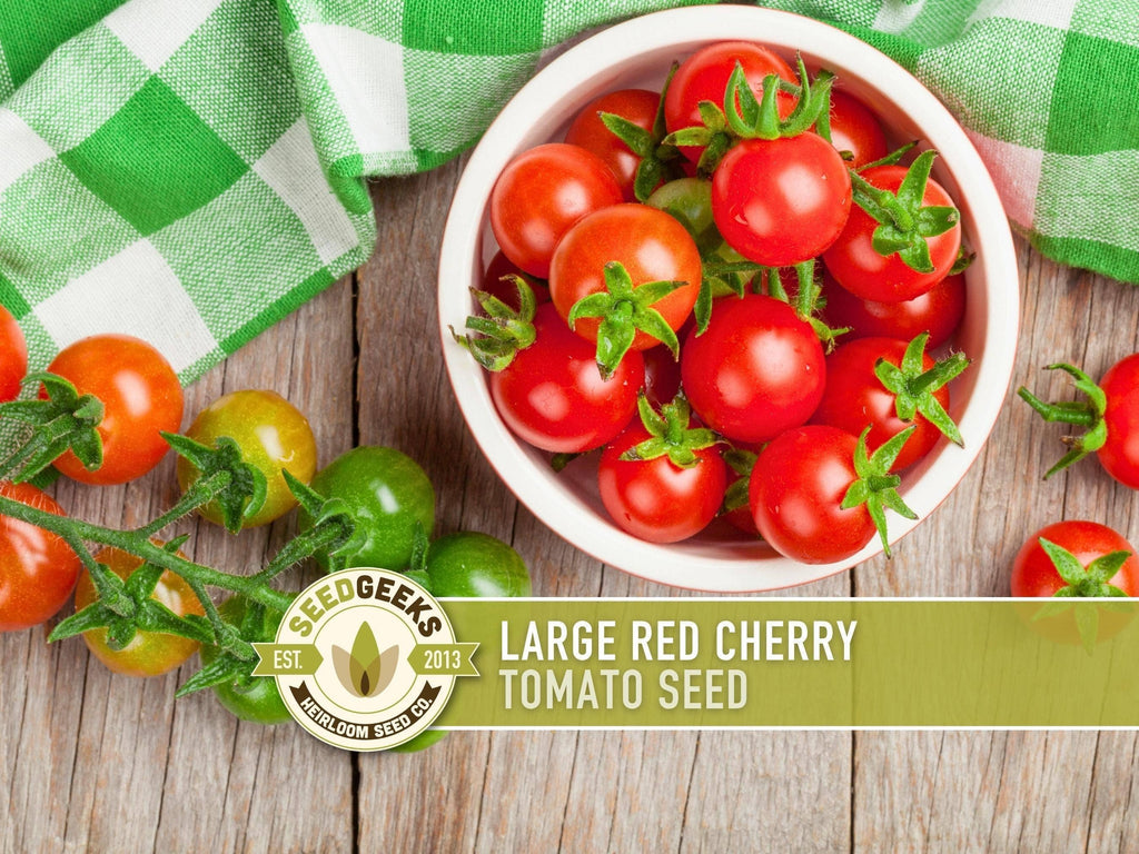 Large Red Cherry Tomato Seeds | Heirloom, Great for Salads