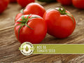 Ace 55 Tomato Seeds | Heirloom, Great for Canning or fresh