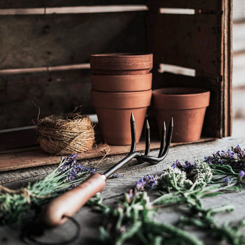 Barebones Backyard Gardener Set 2.0
