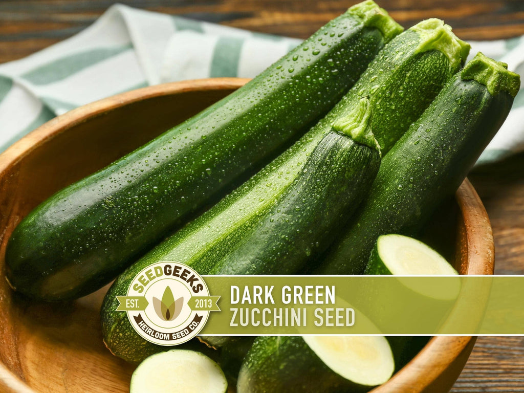 Dark Green Zucchini Seeds | Heirloom, Great for Fresh eating