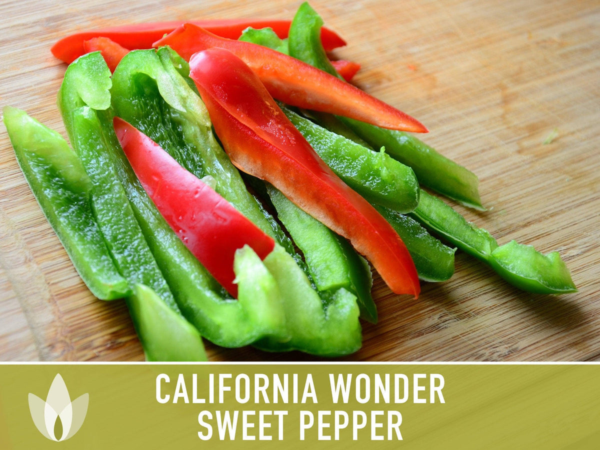 California Wonder Sweet Pepper Seeds | Heirloom