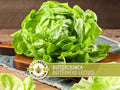 Buttercrunch Lettuce Seeds | Heirloom, Great for Fresh